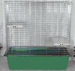 КЛЕТКА АА.jpg