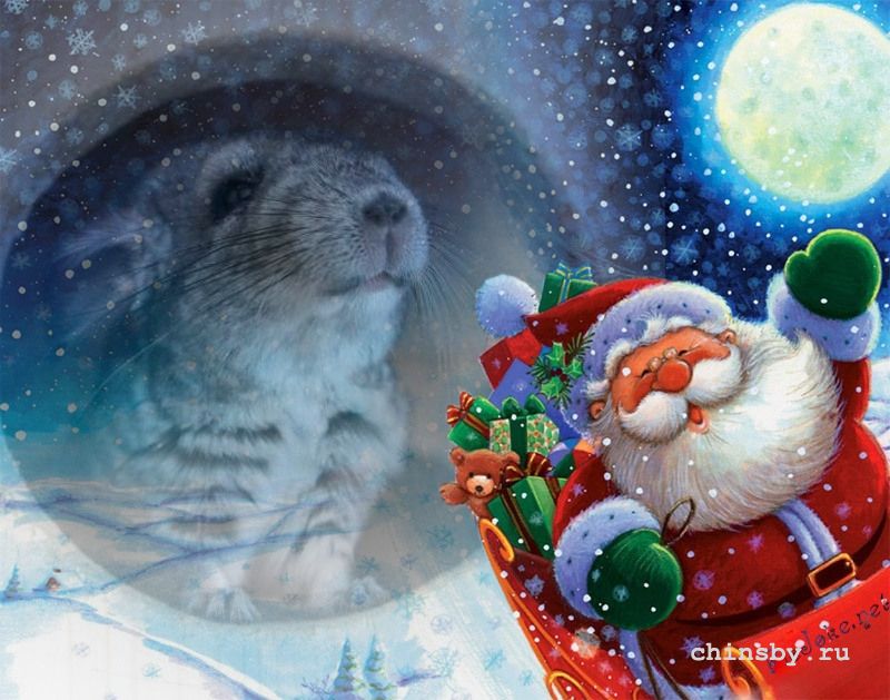 ВСЕХ С НОВЫМ ГОДОМ!!!.jpg