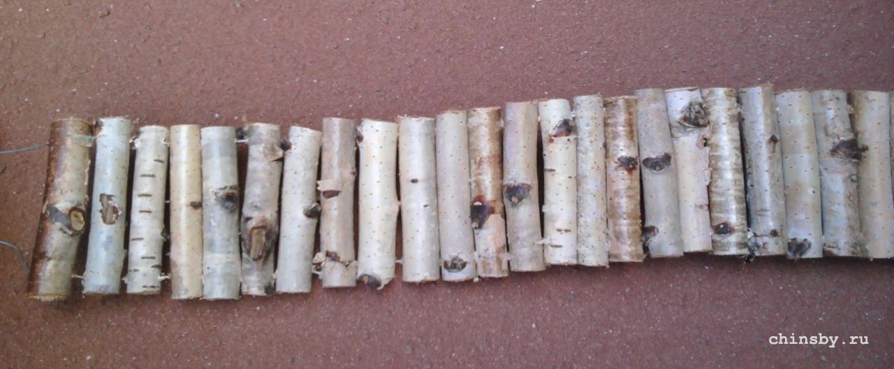 лесенка береза.jpg