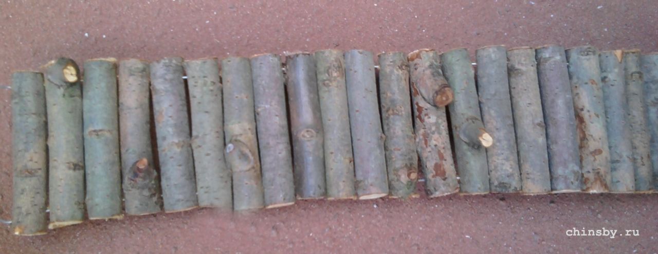 лесенка ива.jpg