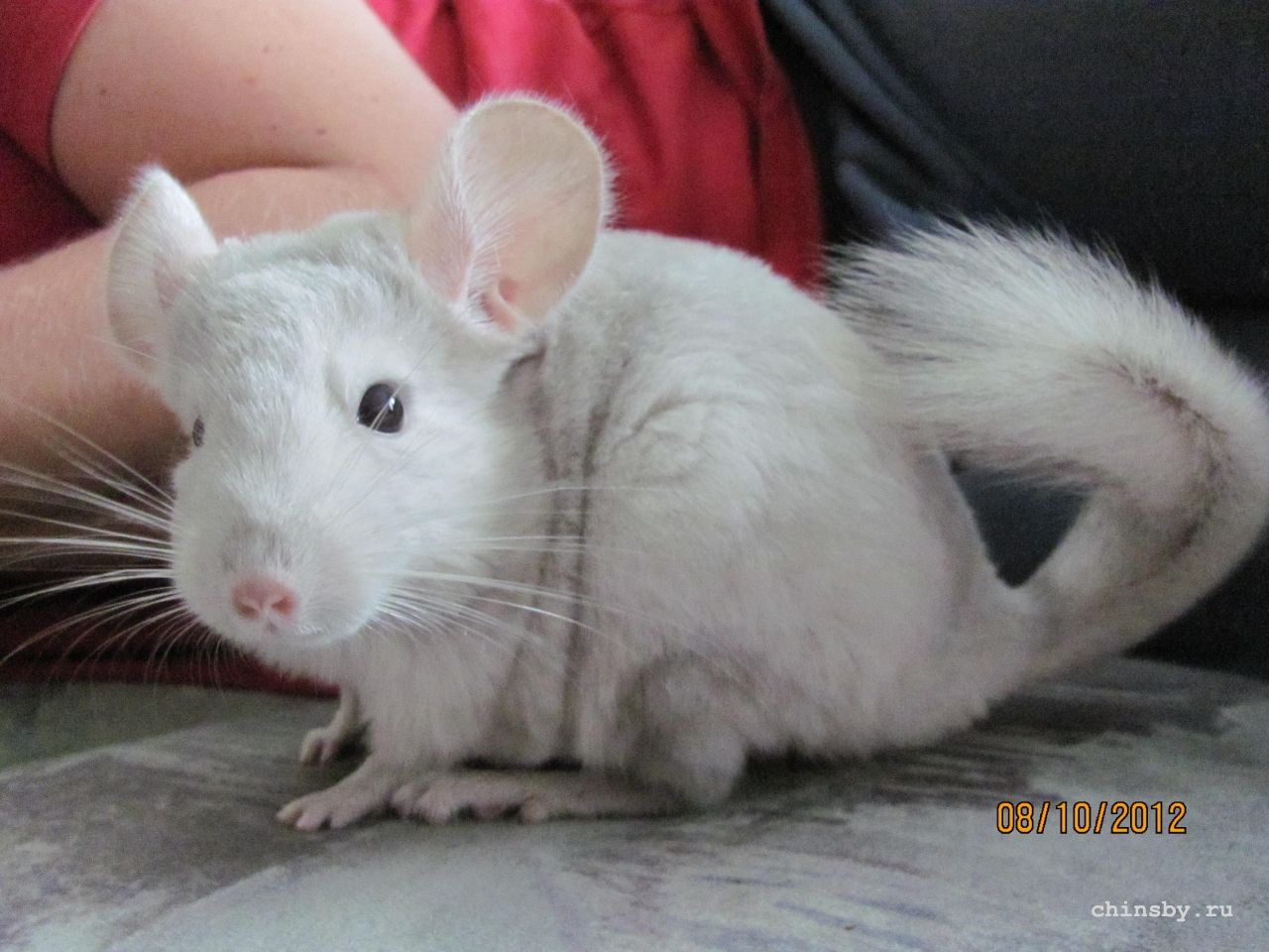 Изображение 922.jpg