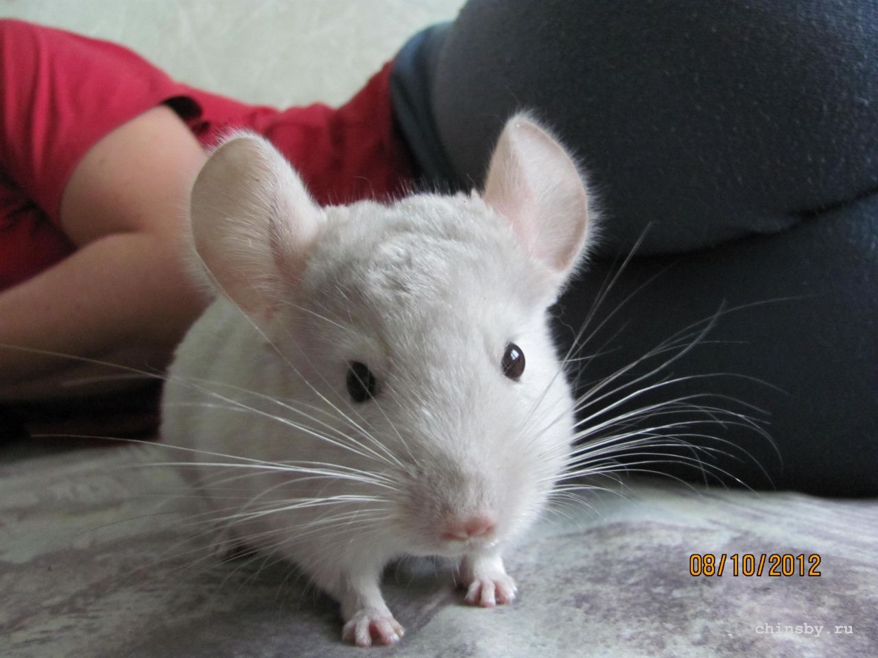 Изображение 924.jpg