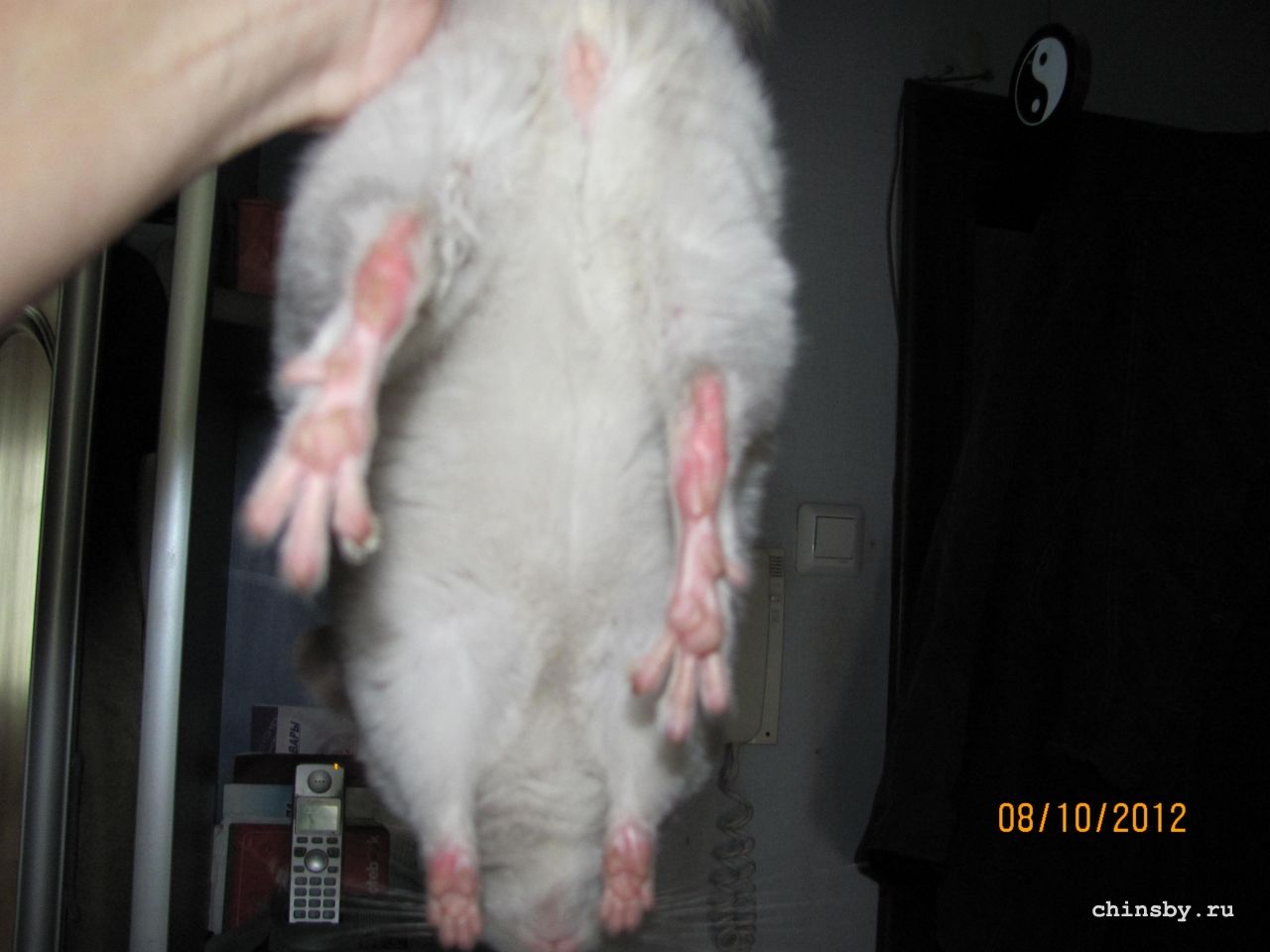 Изображение 925.jpg