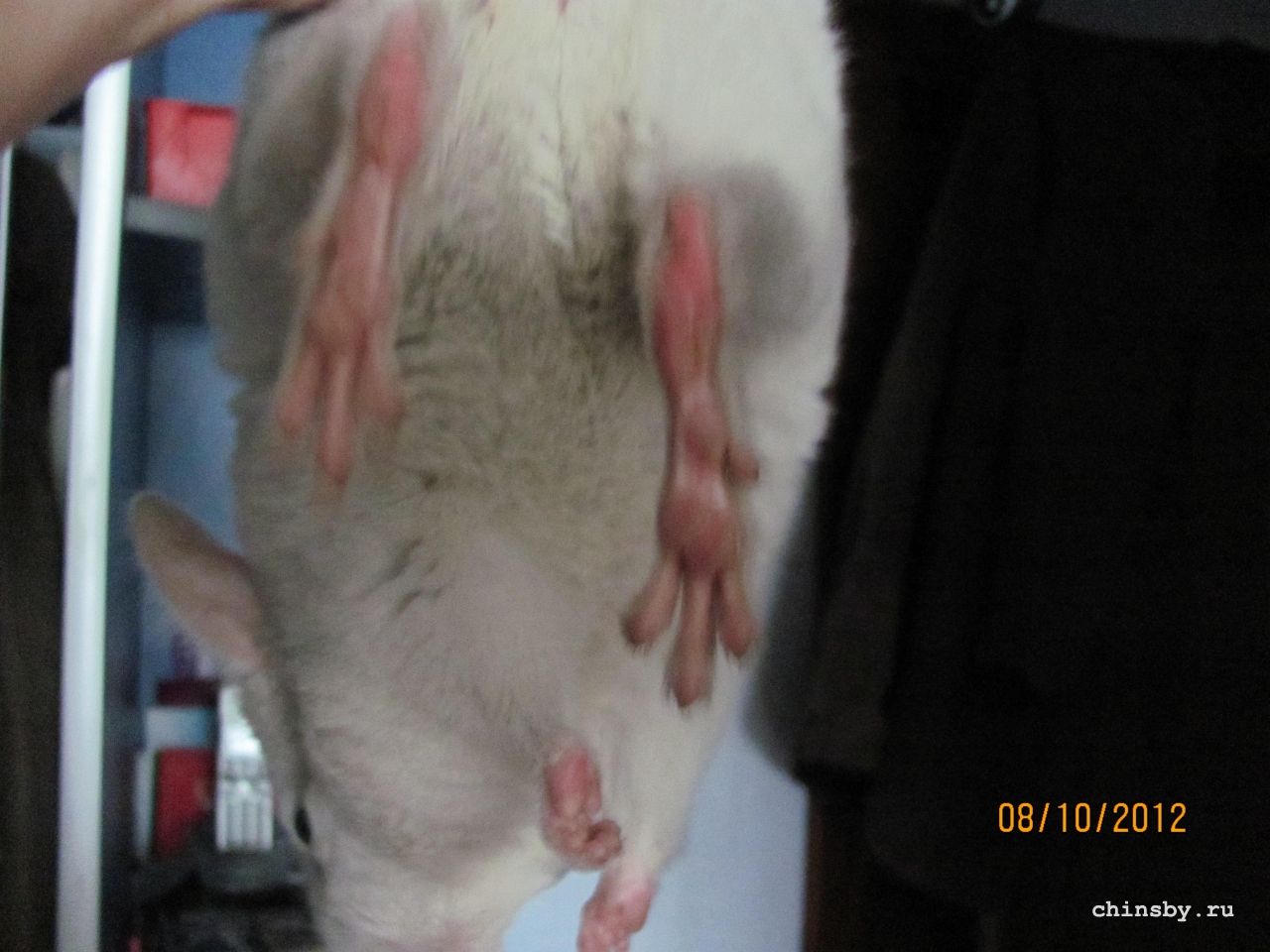 Изображение 928.jpg