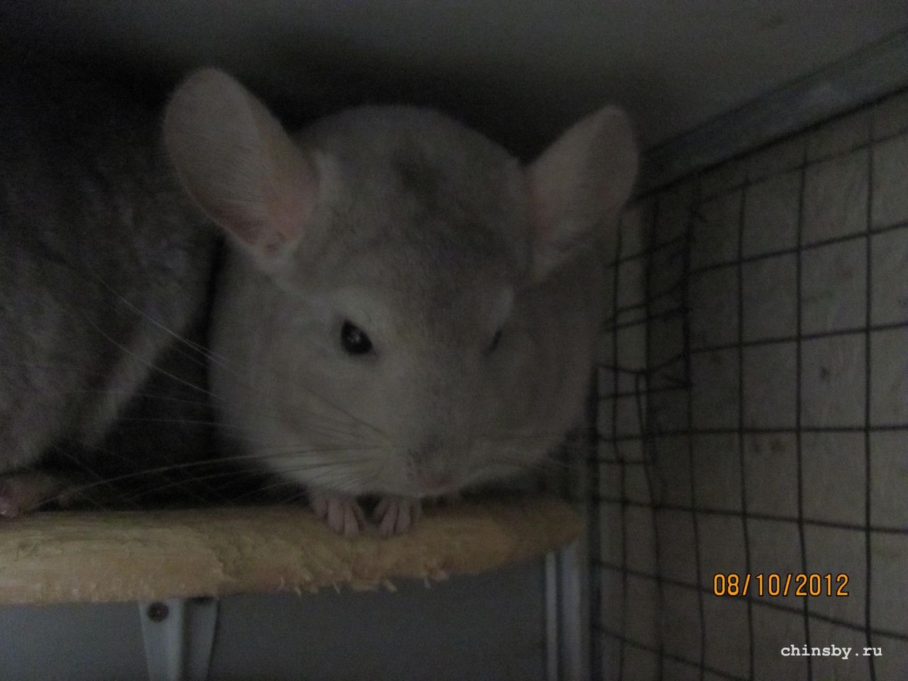 Изображение 1002.jpg