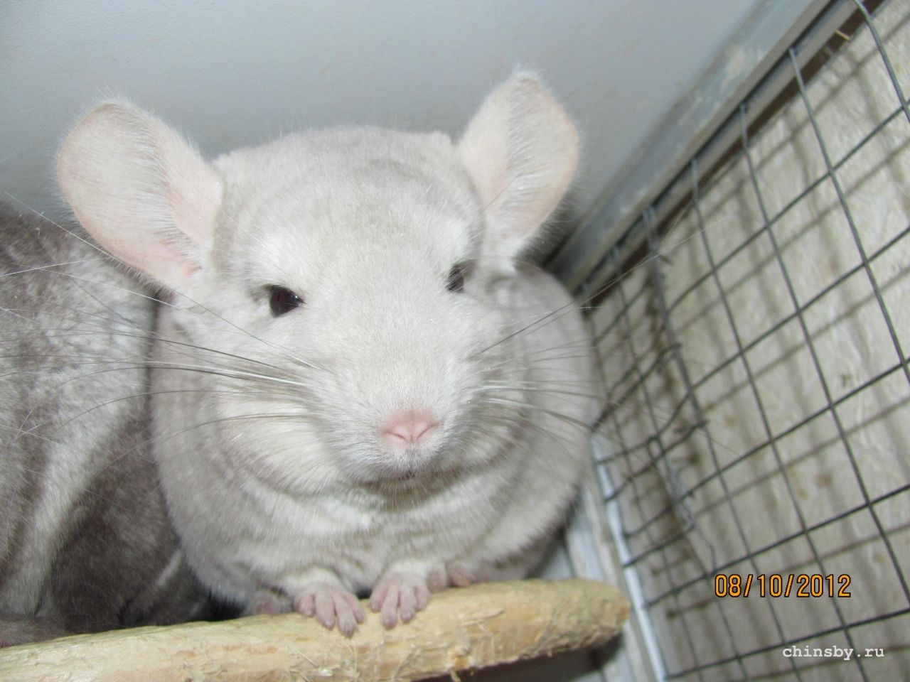 Изображение 1013.jpg