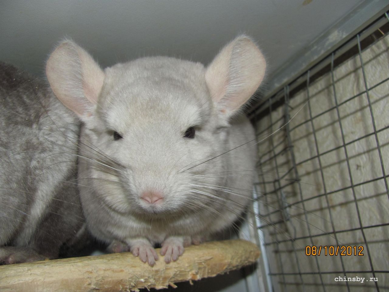 Изображение 1014.jpg