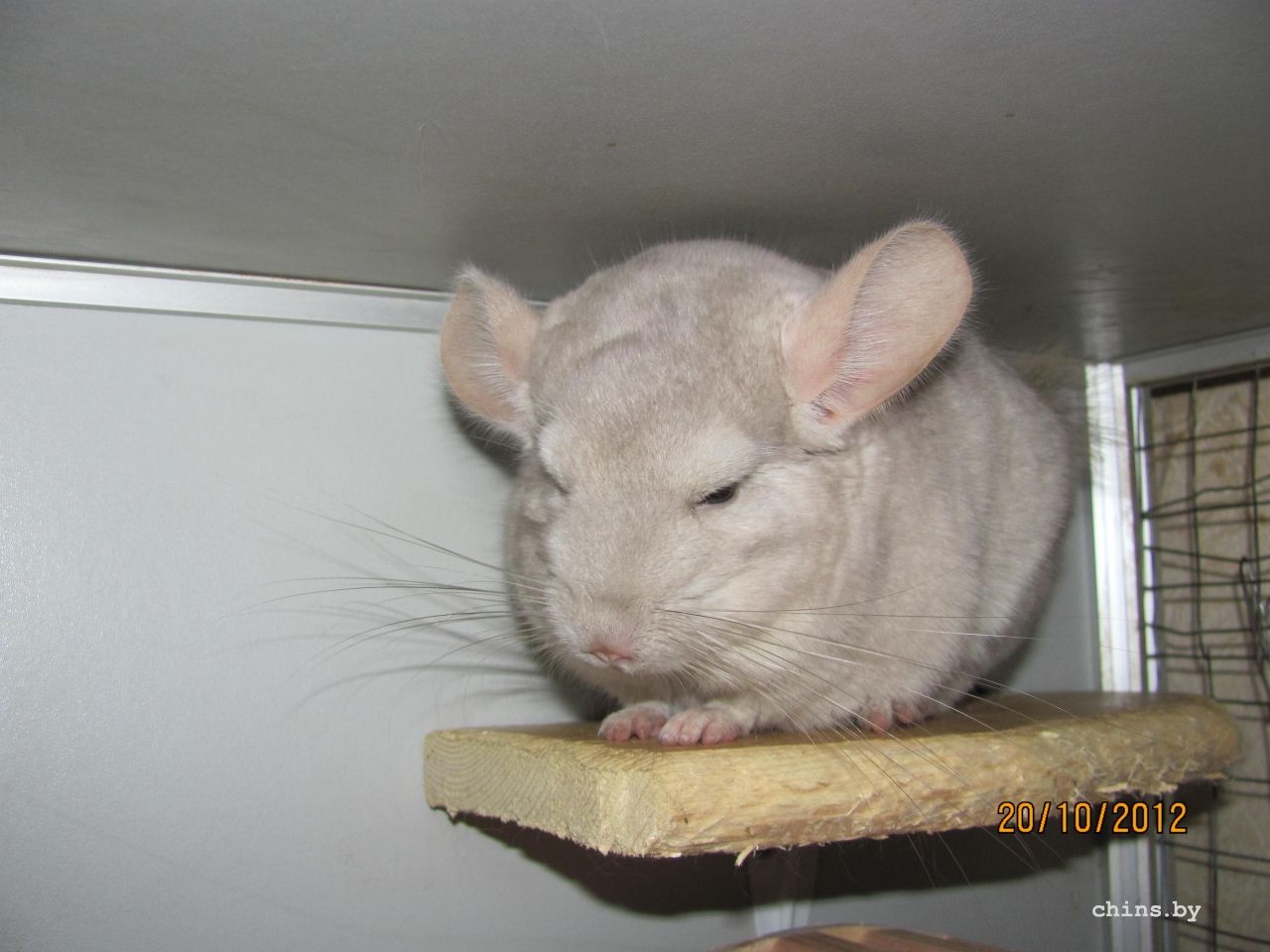 Изображение 1075.jpg