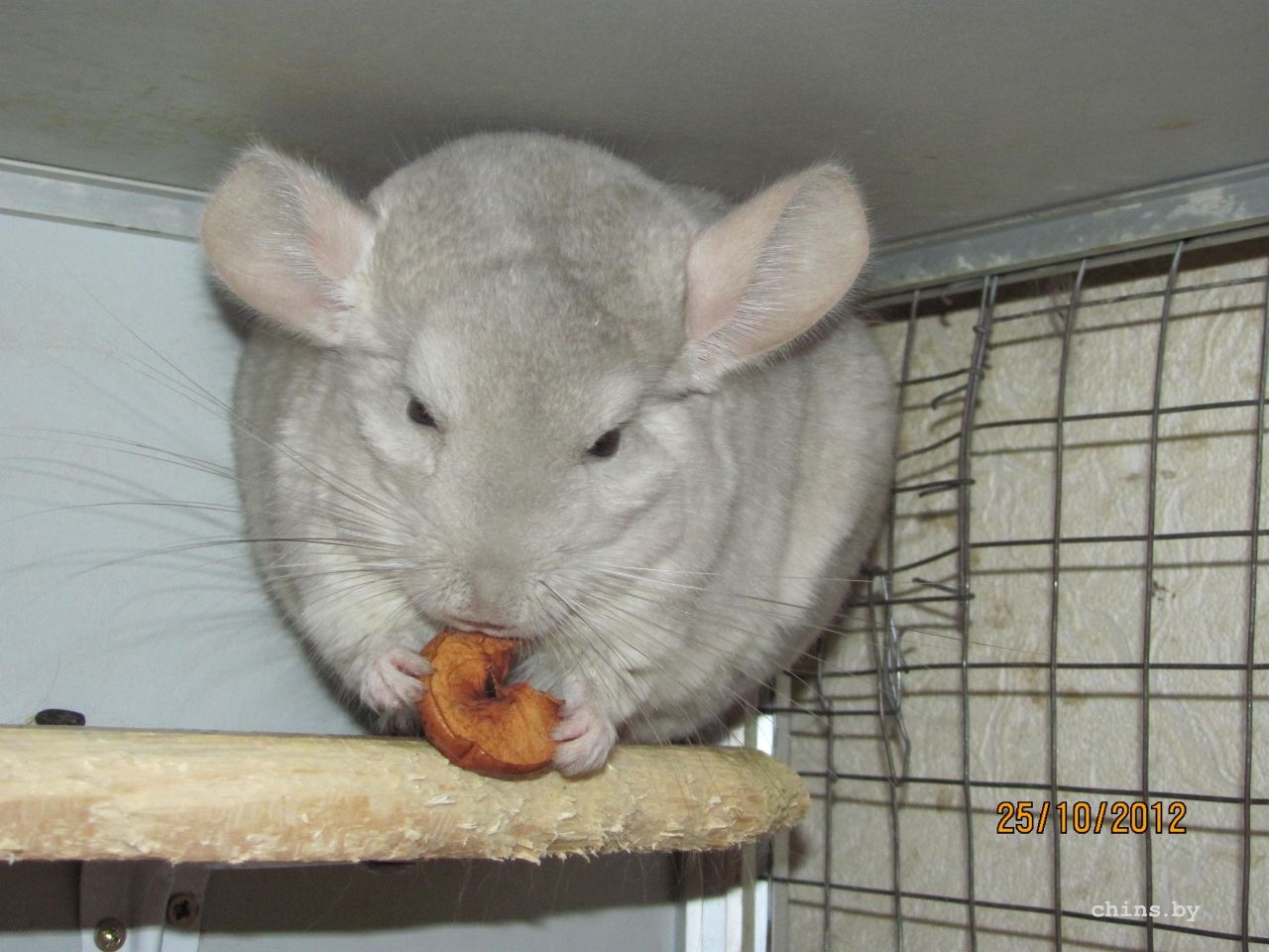 Изображение 1129.jpg