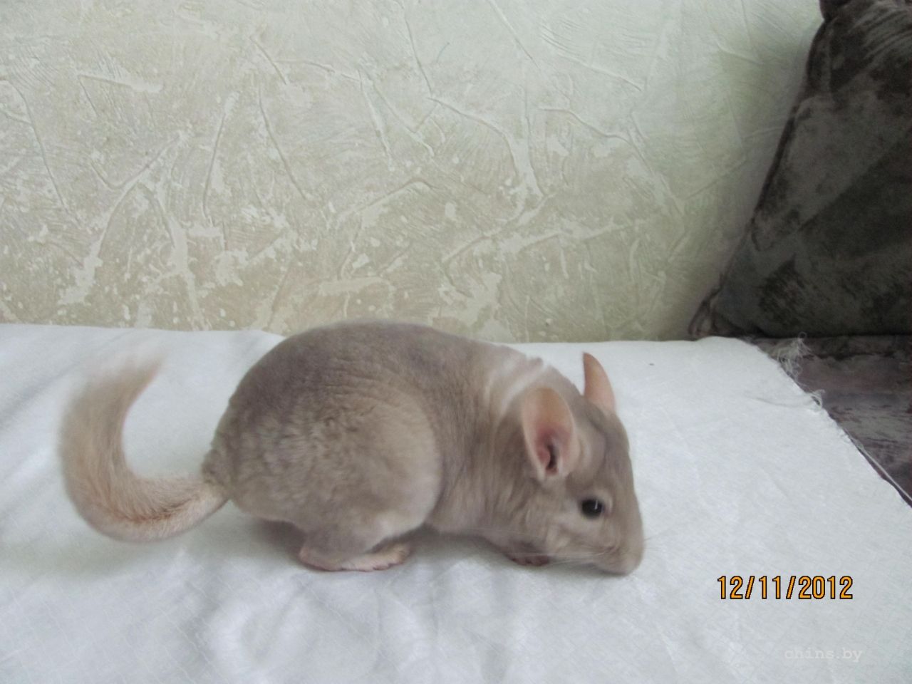 Изображение 013.jpg