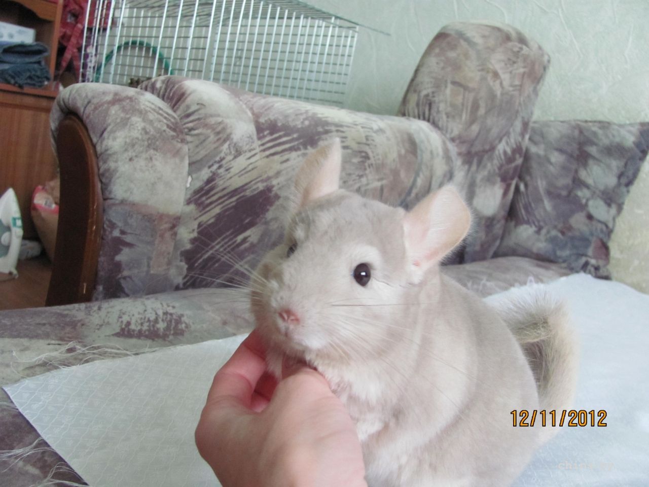 Изображение 018.jpg