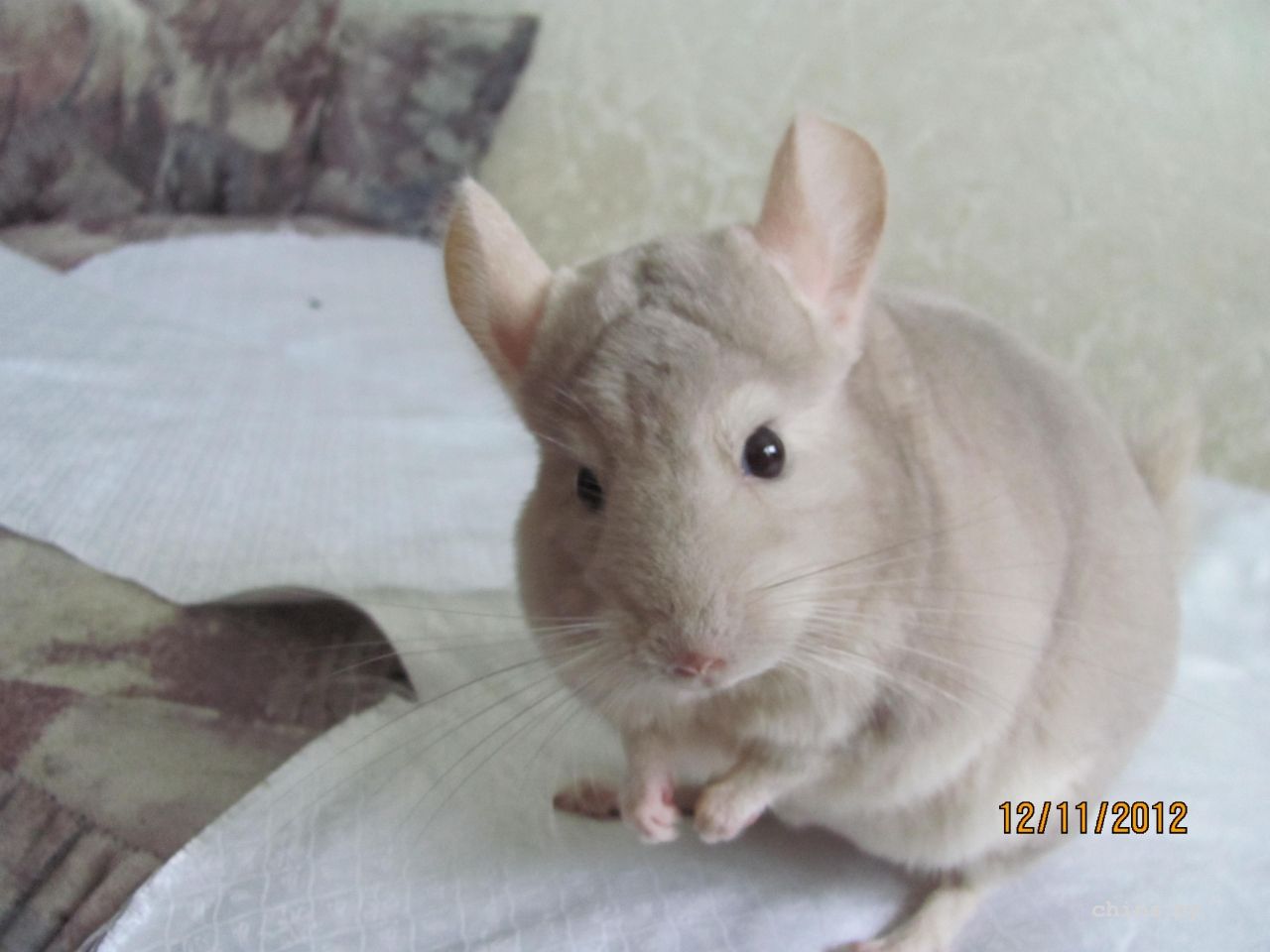 Изображение 030.jpg