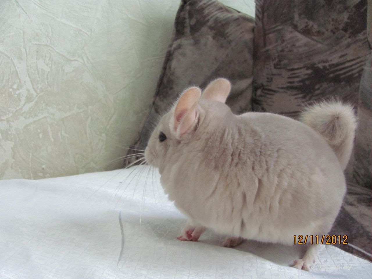 Изображение 032.jpg