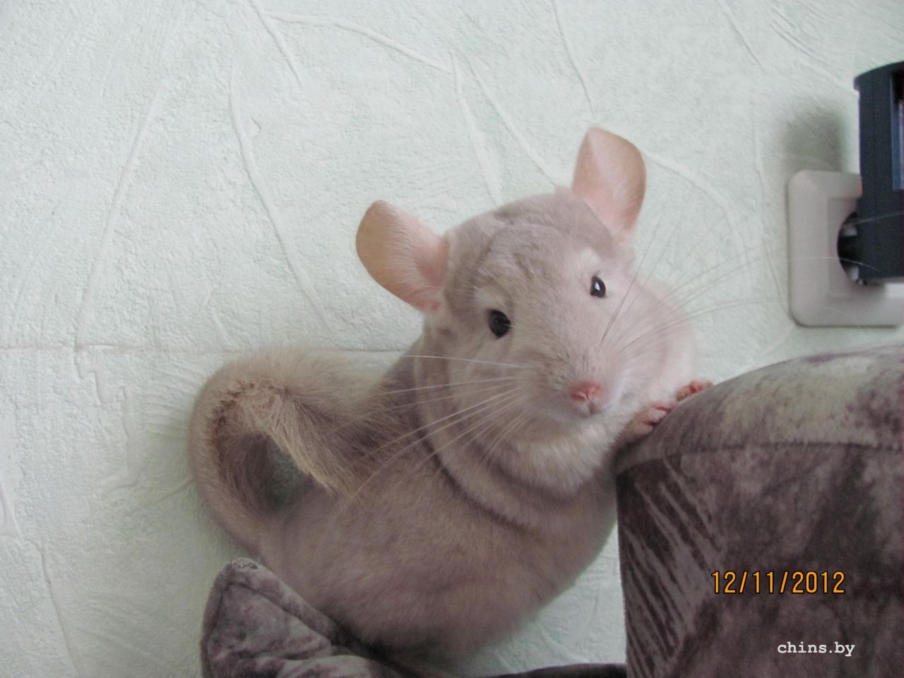 Изображение 040.jpg