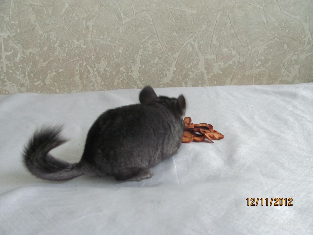 Изображение 003.jpg