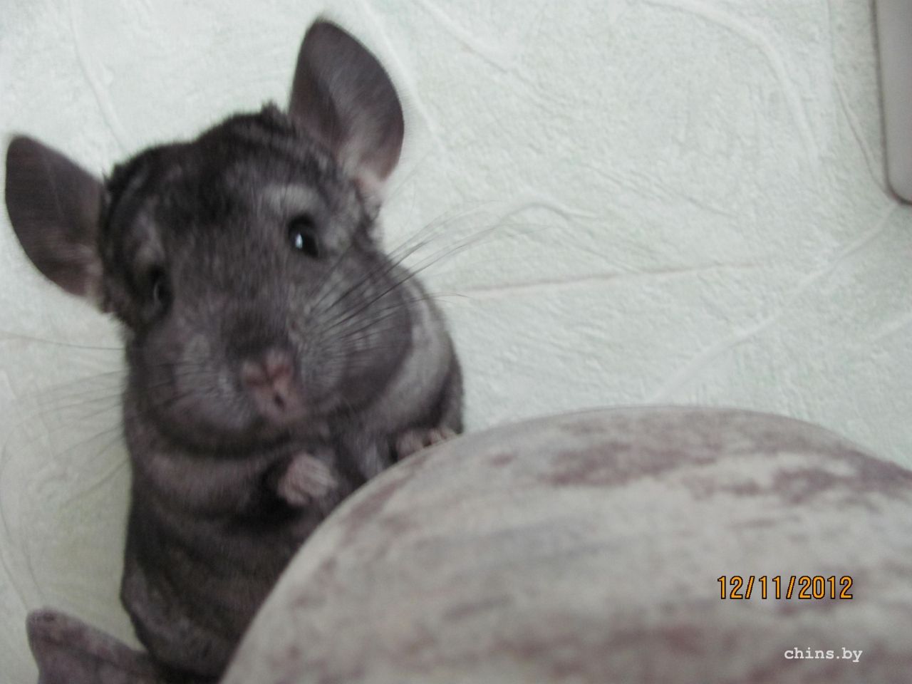 Изображение 008.jpg