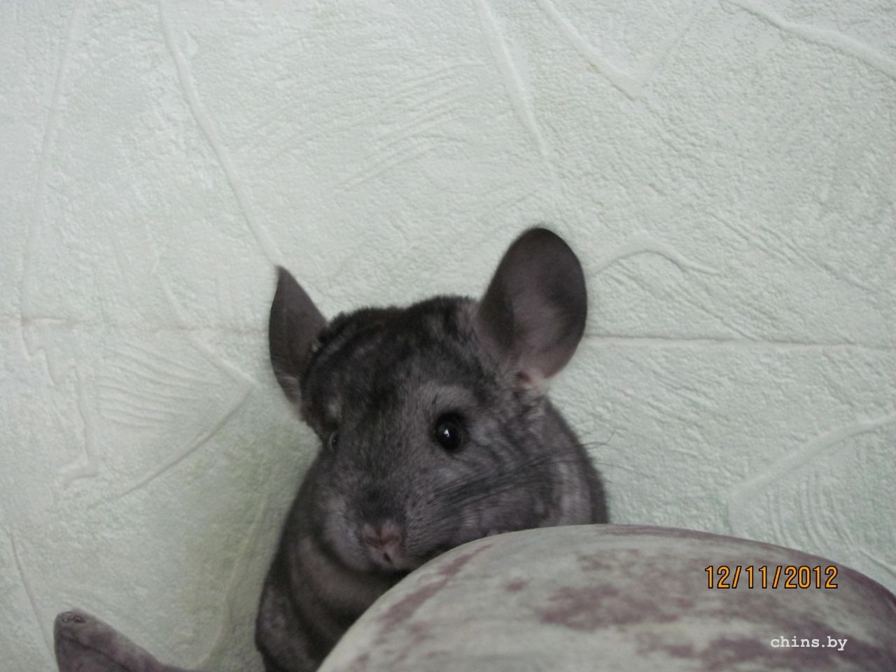 Изображение 005.jpg