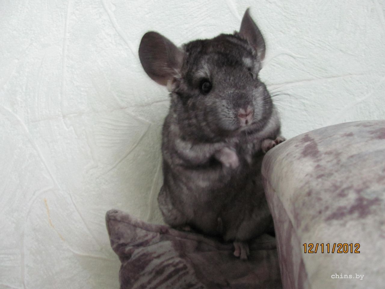 Изображение 010.jpg