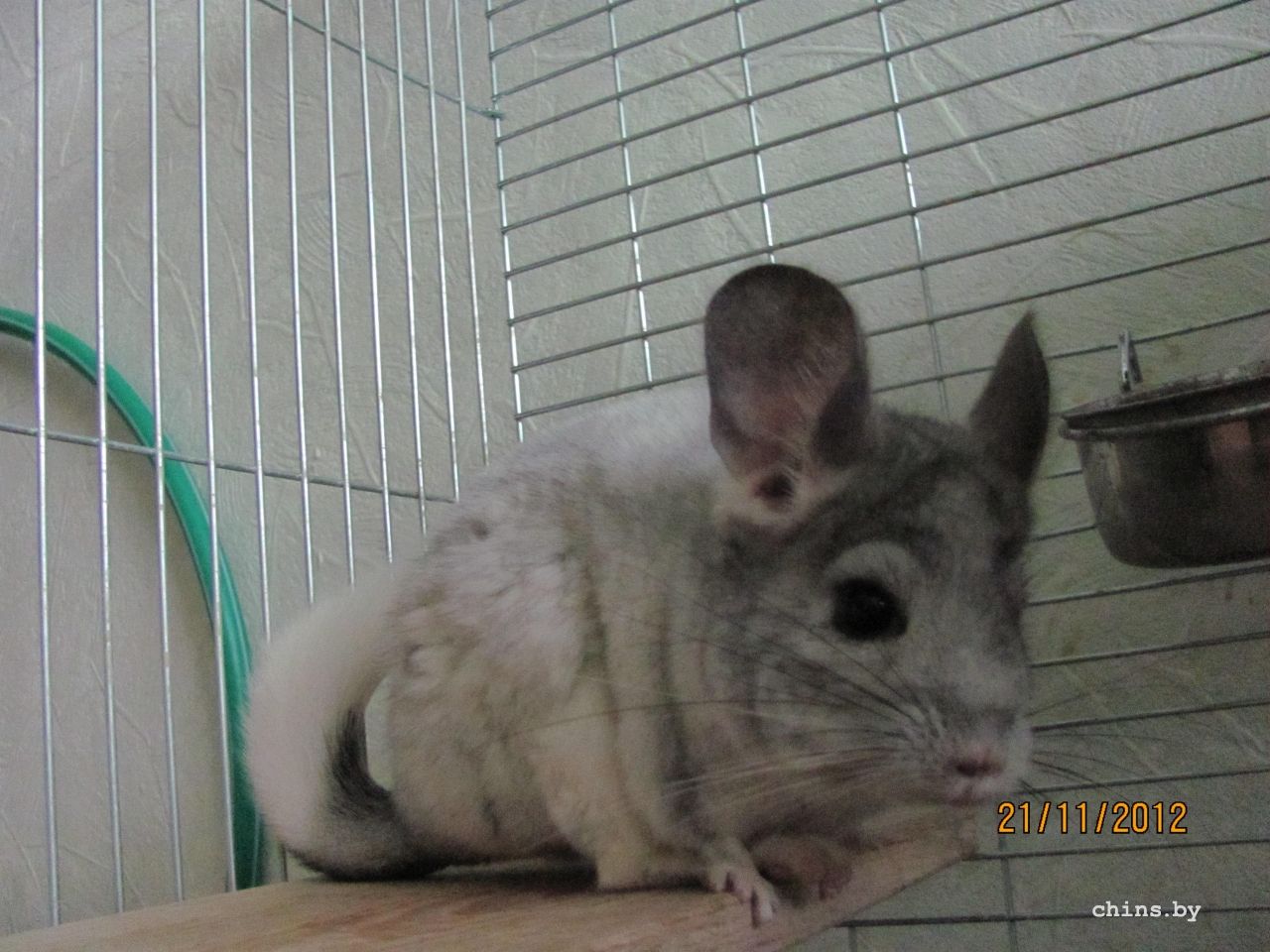 Изображение 1158.jpg