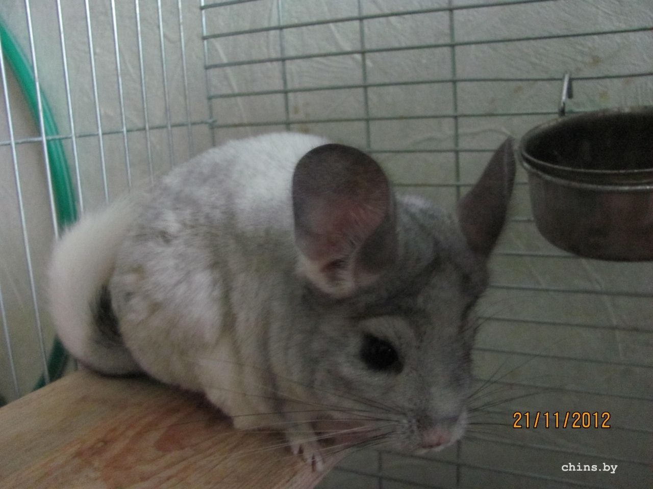 Изображение 1157.jpg