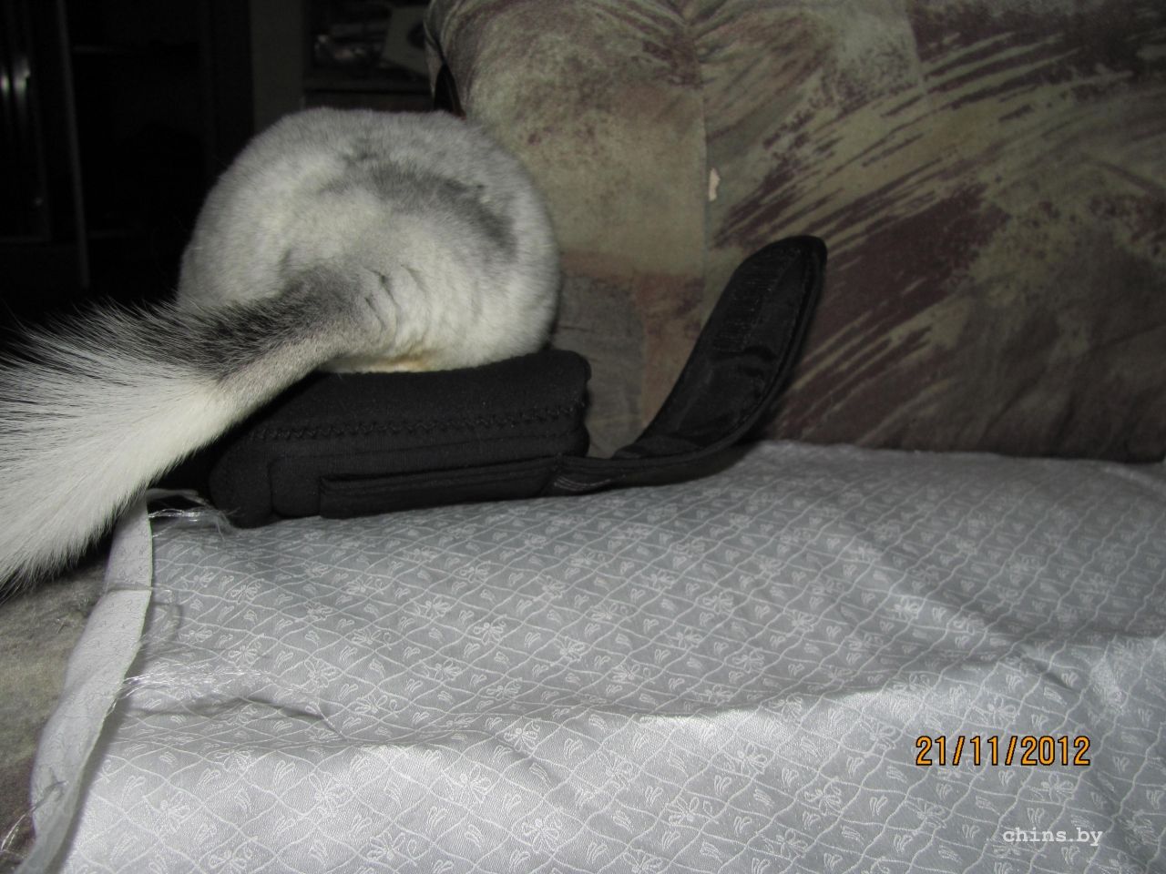 Изображение 1138.jpg