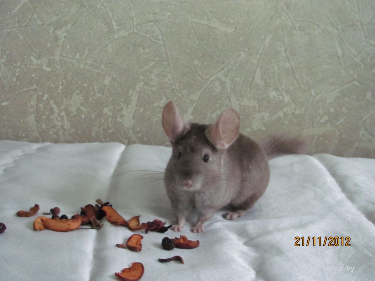 Изображение 1142.jpg