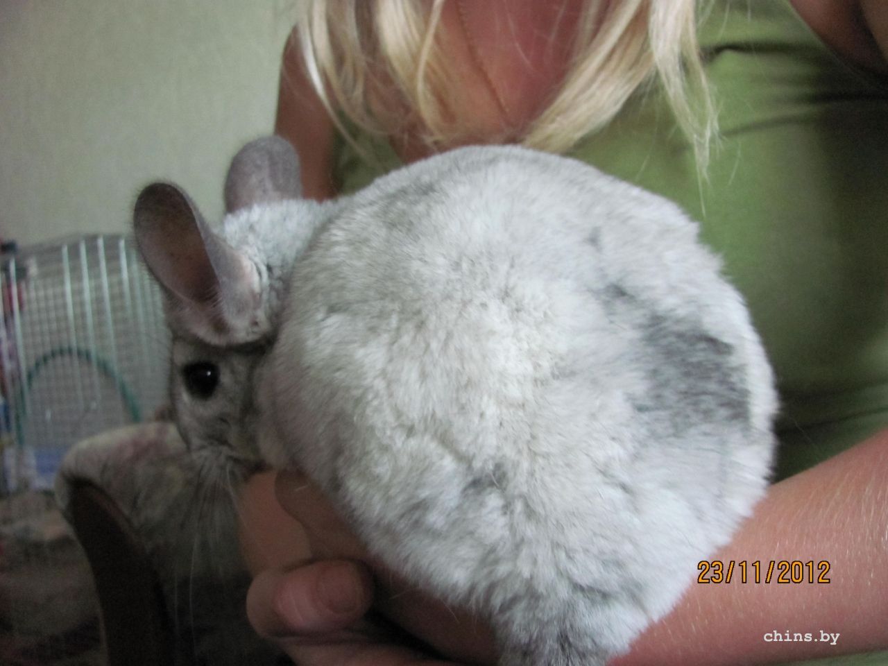 Изображение 1195.jpg