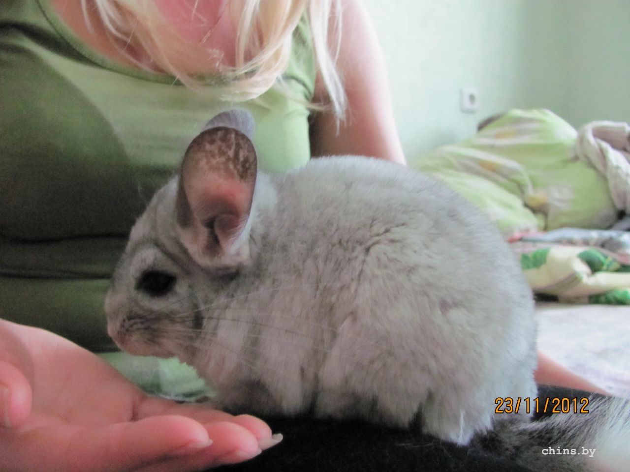 Изображение 1196.jpg