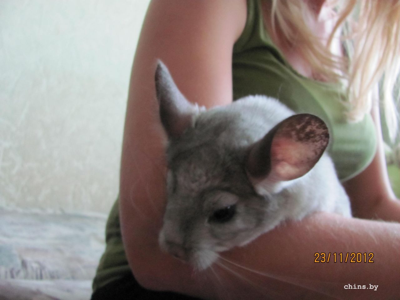 Изображение 1197.jpg