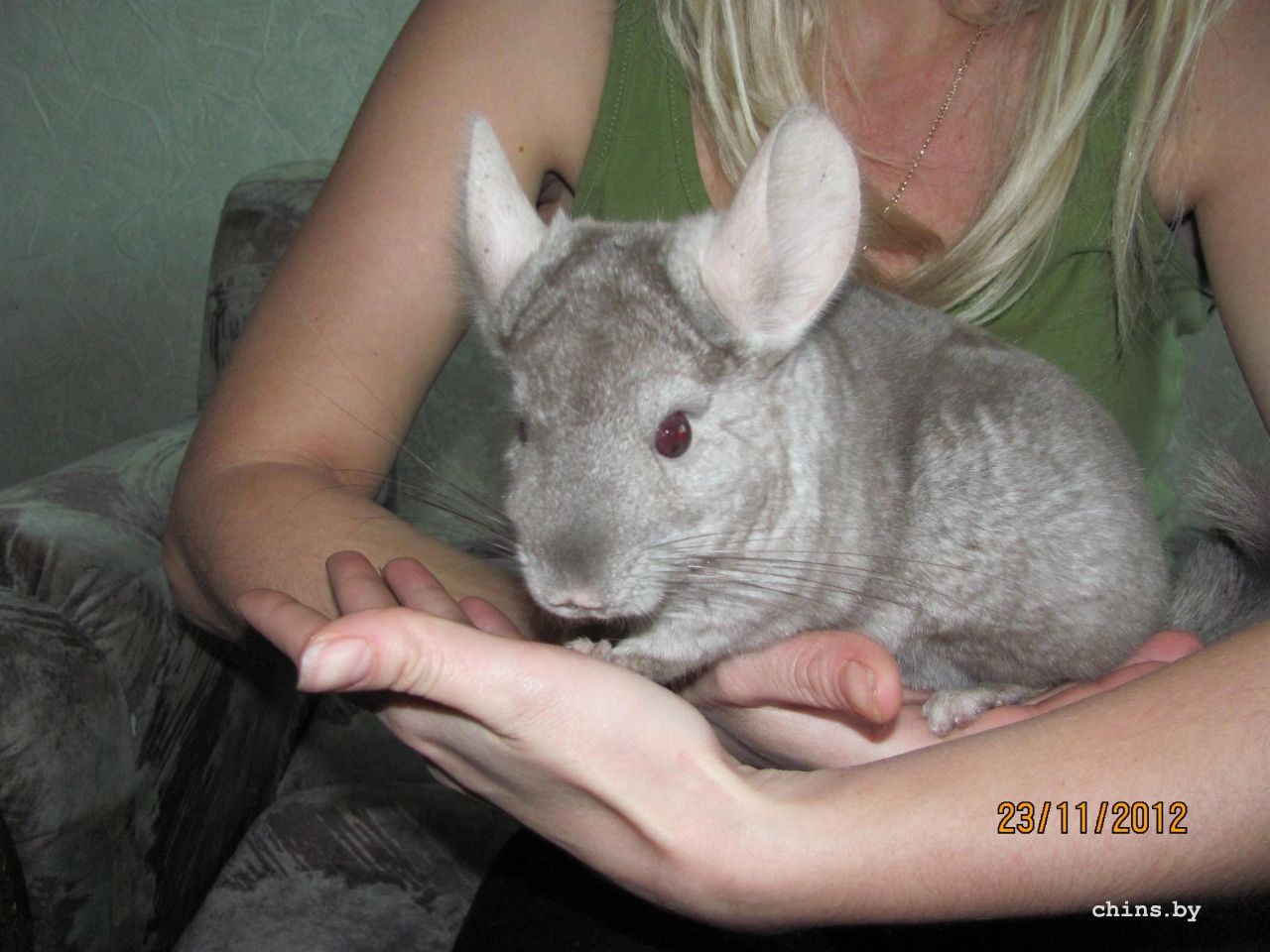 Изображение 1198.jpg