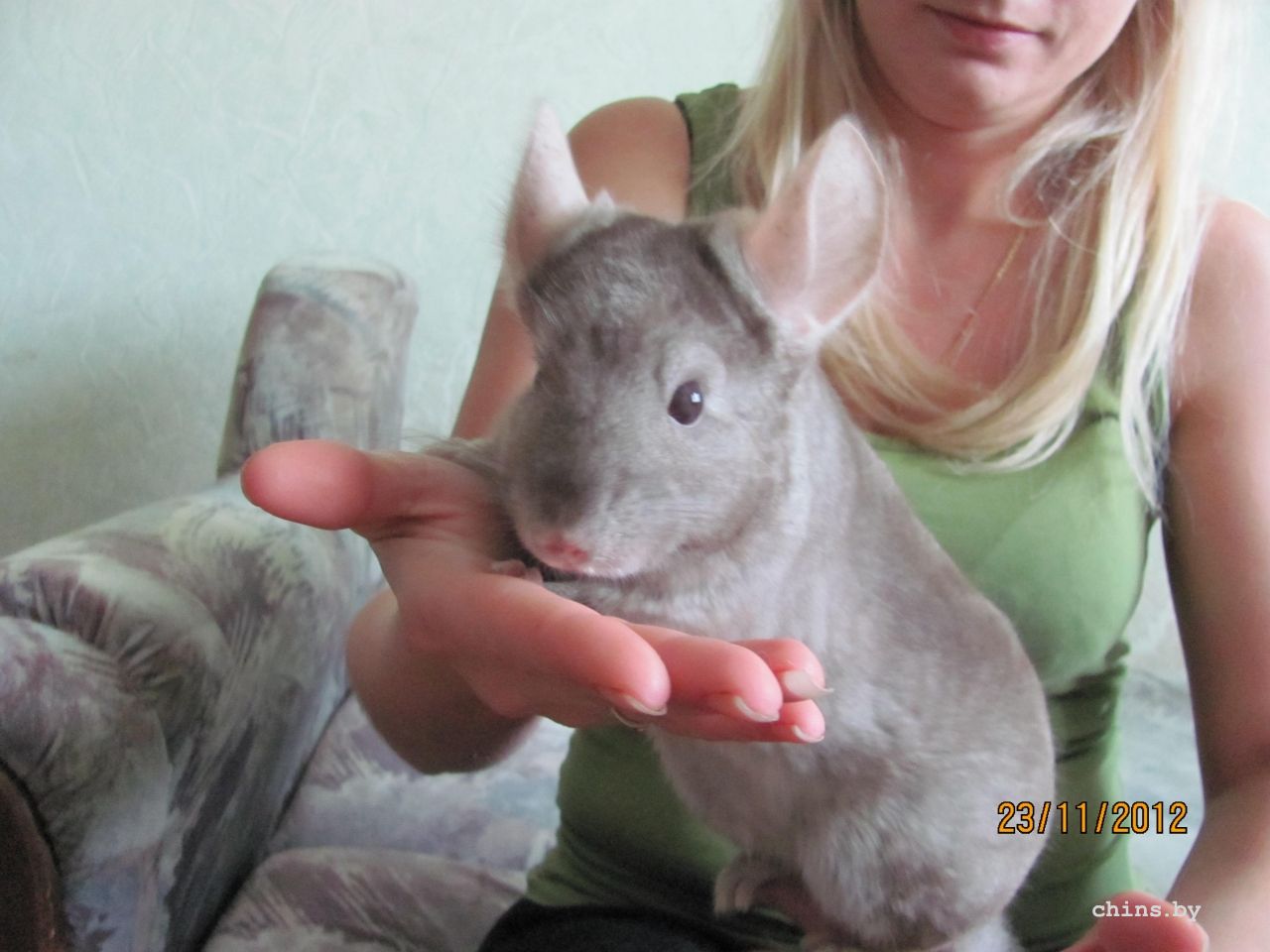 Изображение 1200.jpg