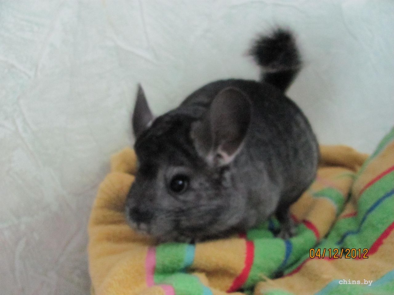 Изображение 1266.jpg