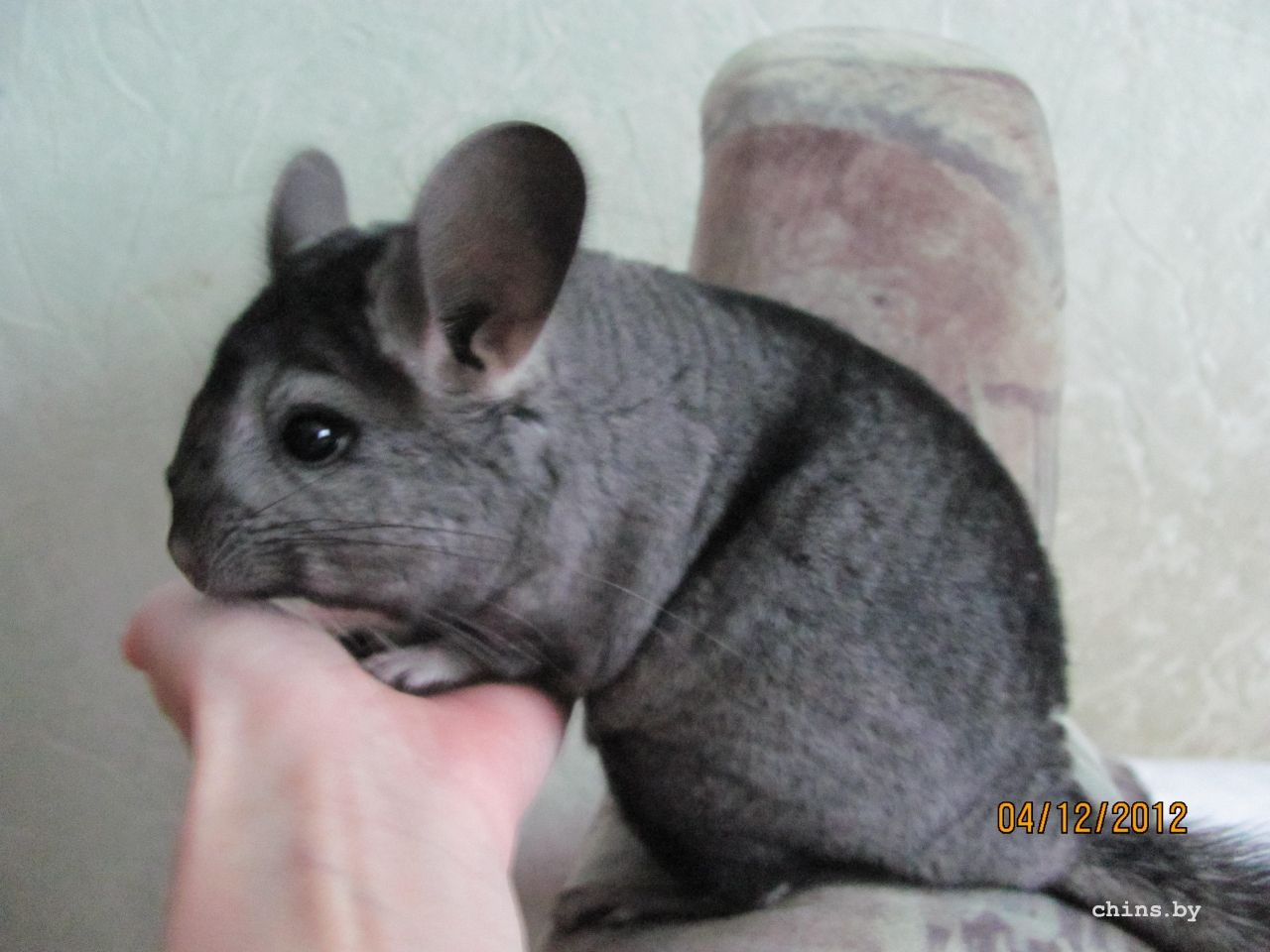 Изображение 1267.jpg