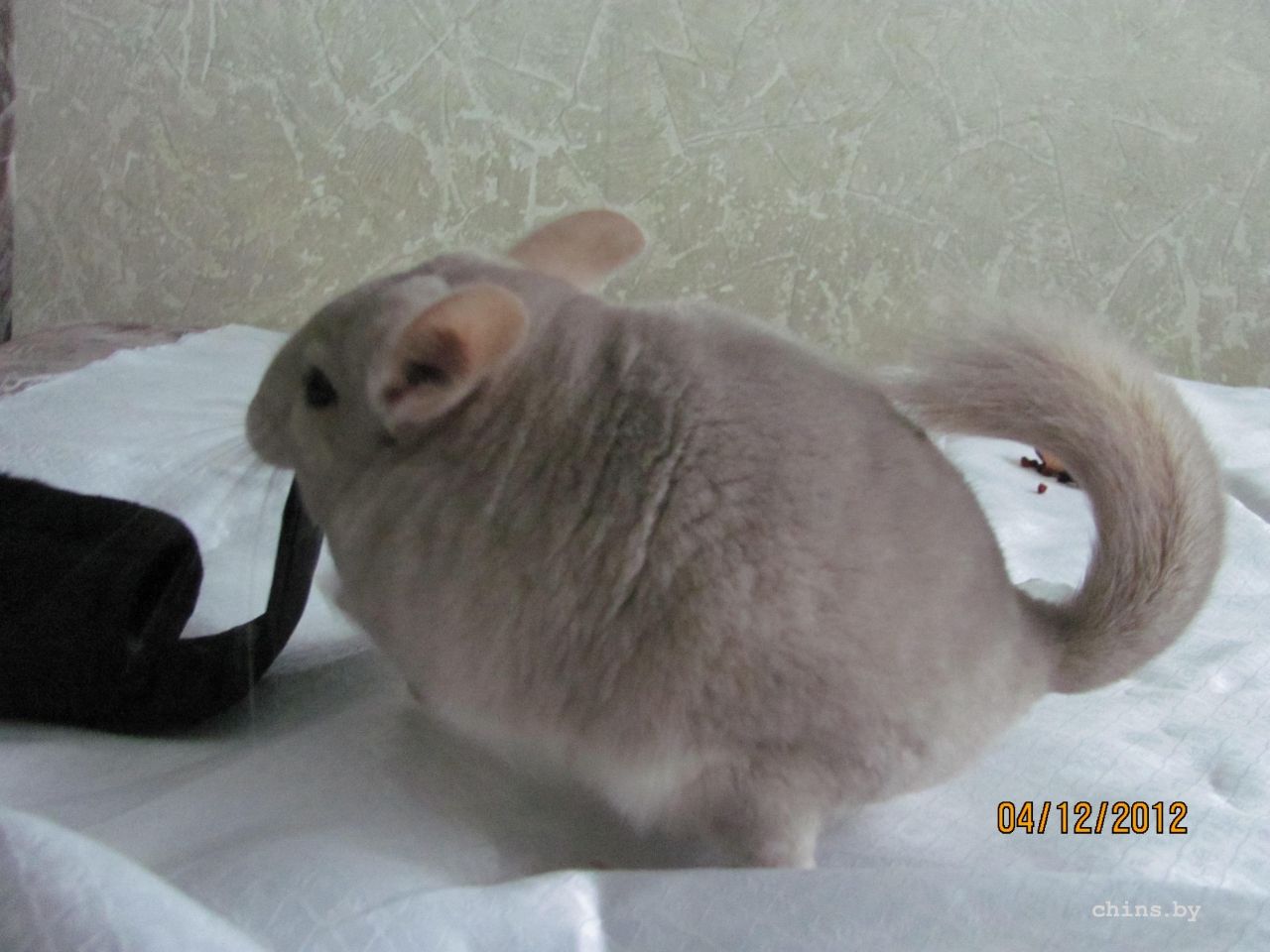 Изображение 1255.jpg