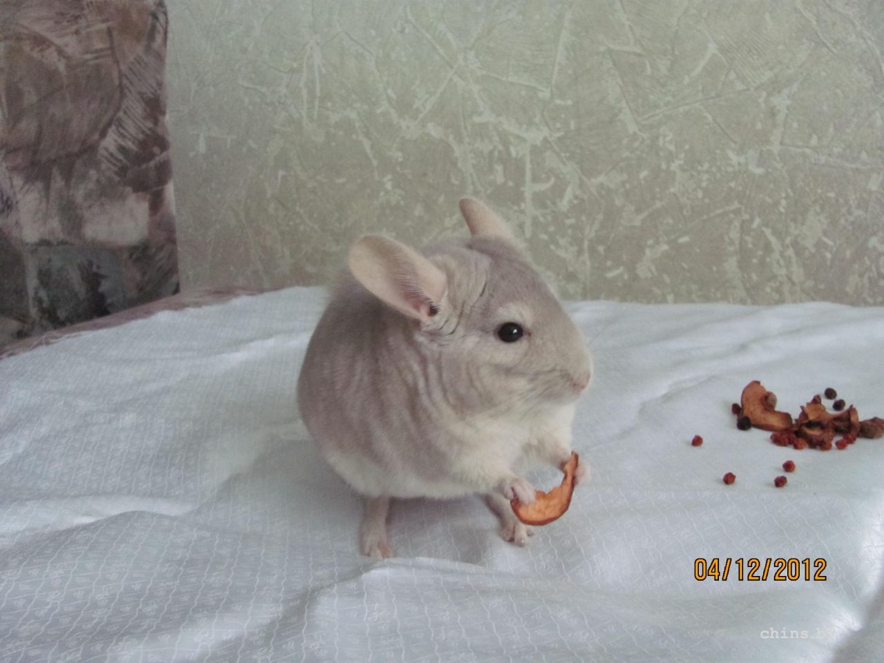 Изображение 1256.jpg