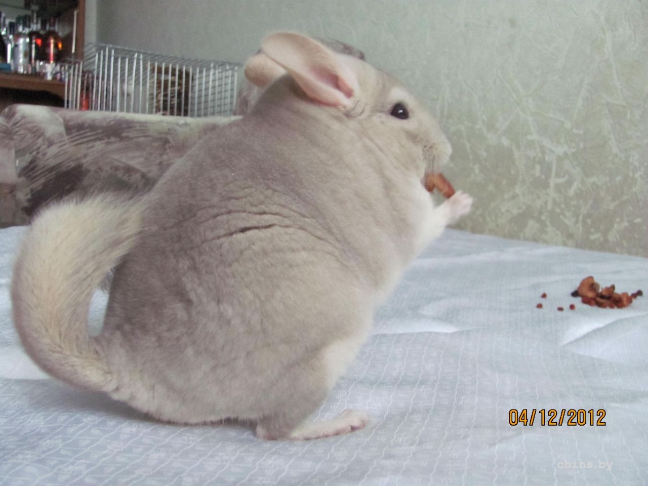 Изображение 1257.jpg