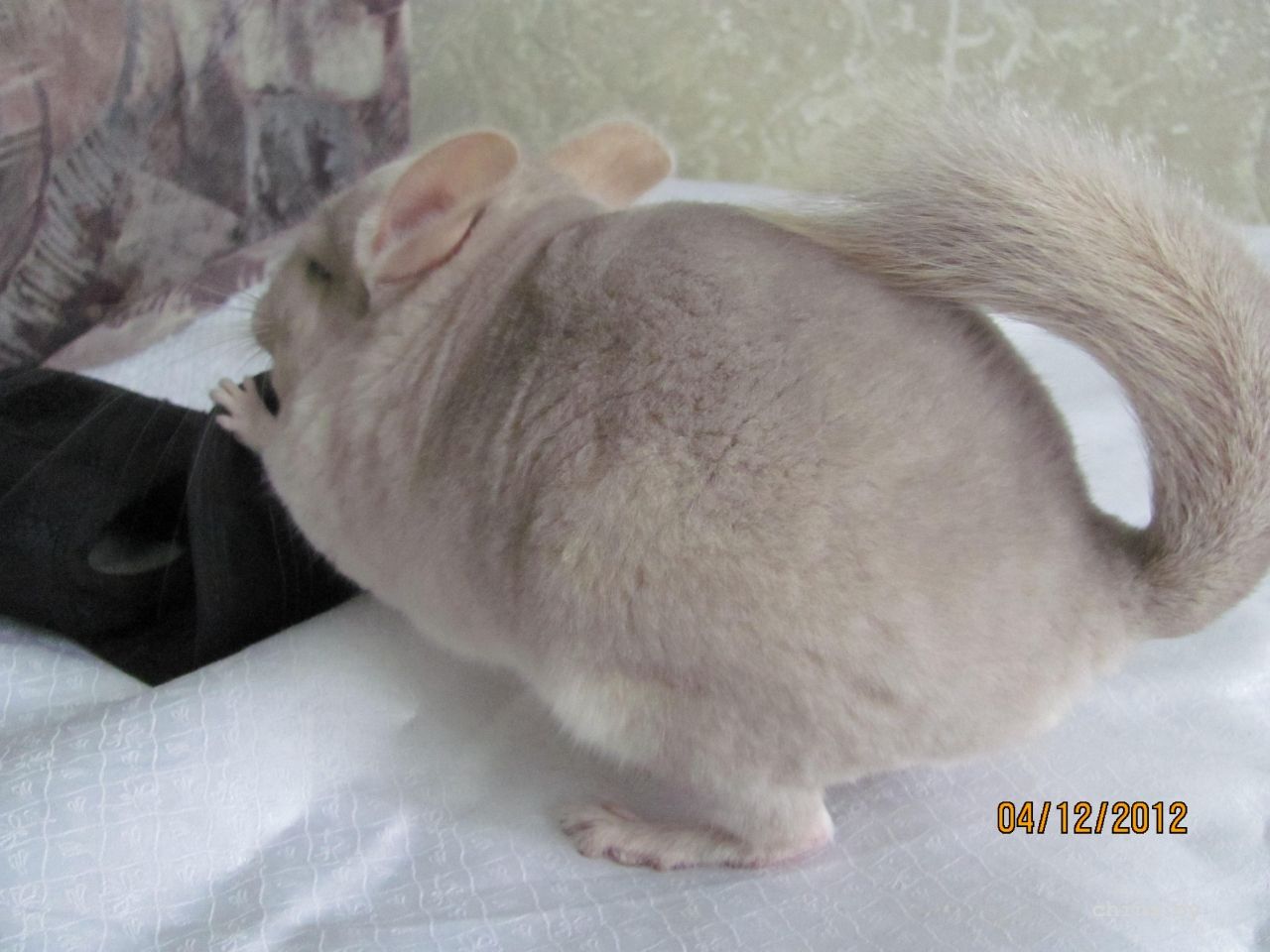 Изображение 1258.jpg