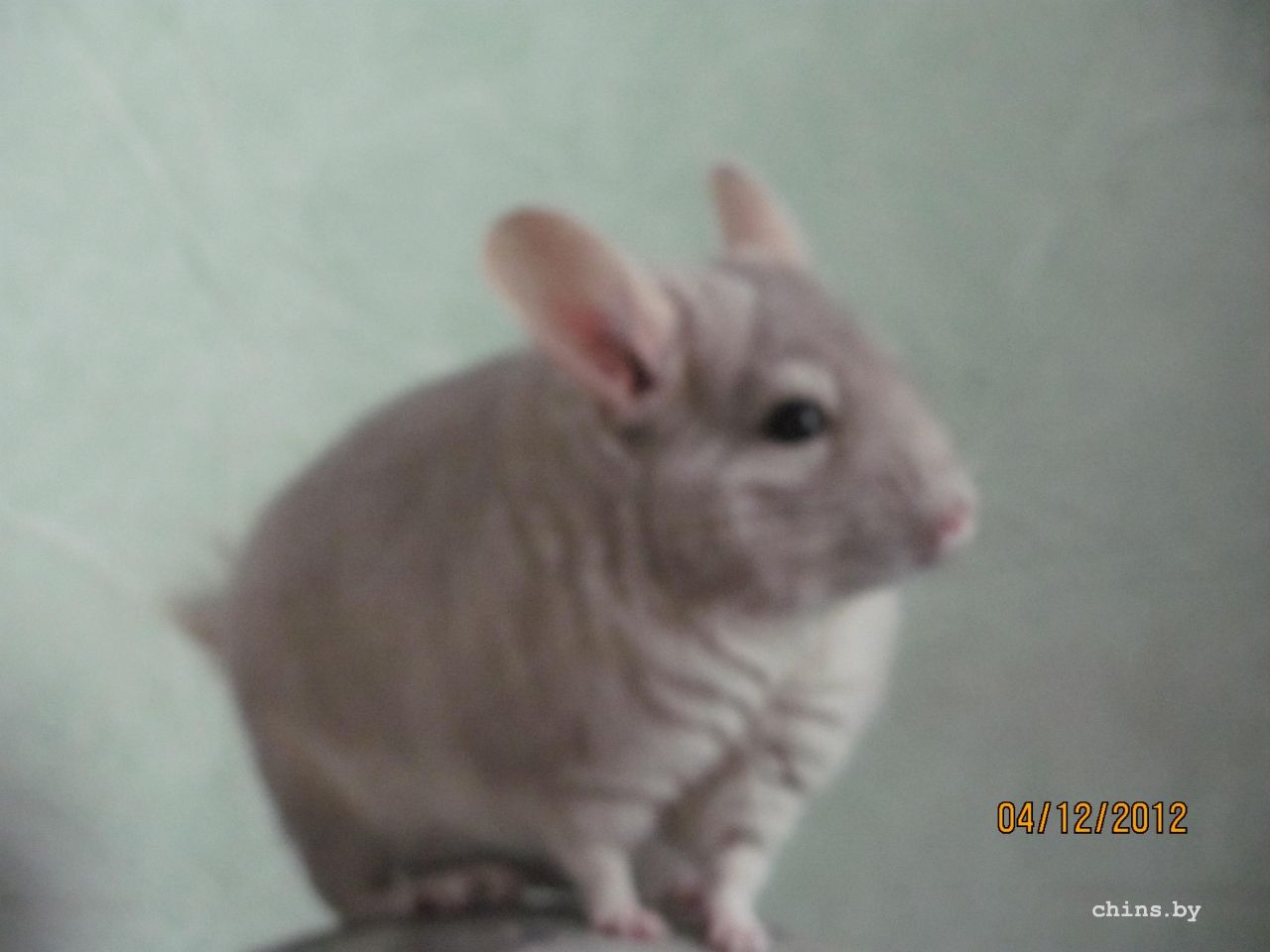 Изображение 1259.jpg