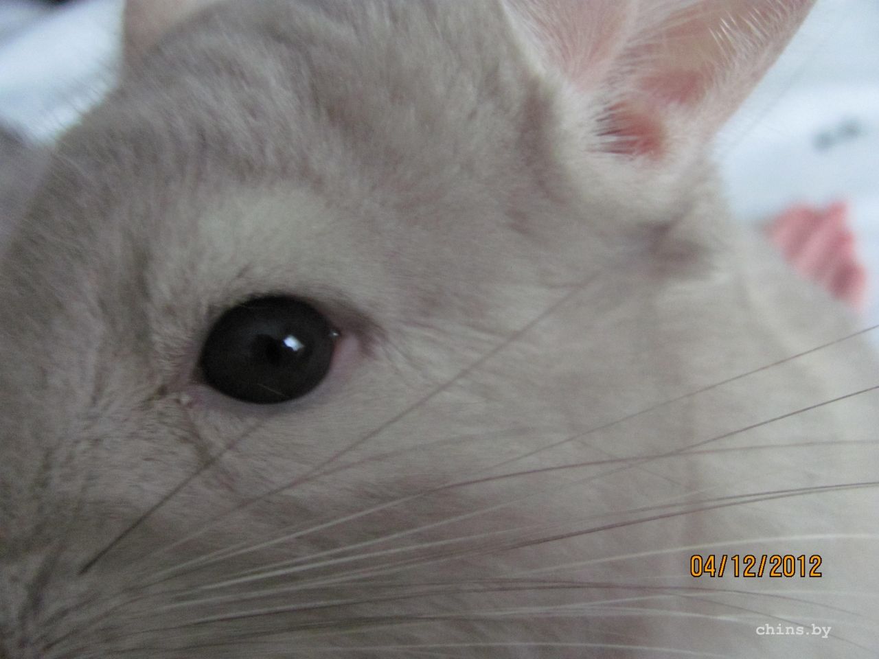 Изображение 1262.jpg