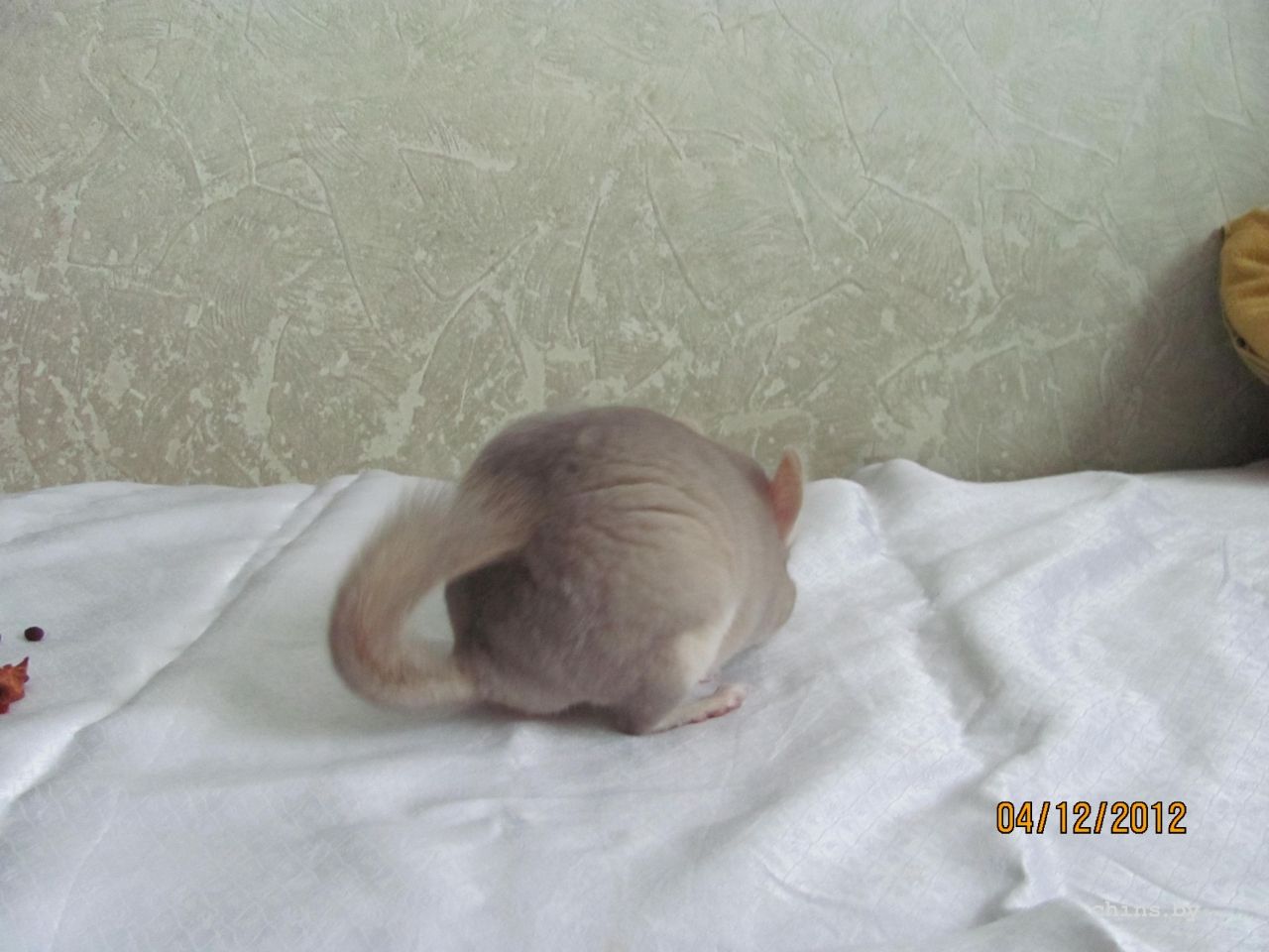 Изображение 1263.jpg