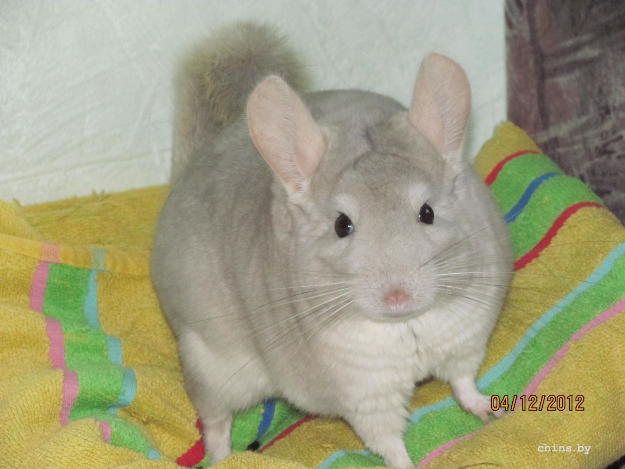 Изображение 1264.jpg