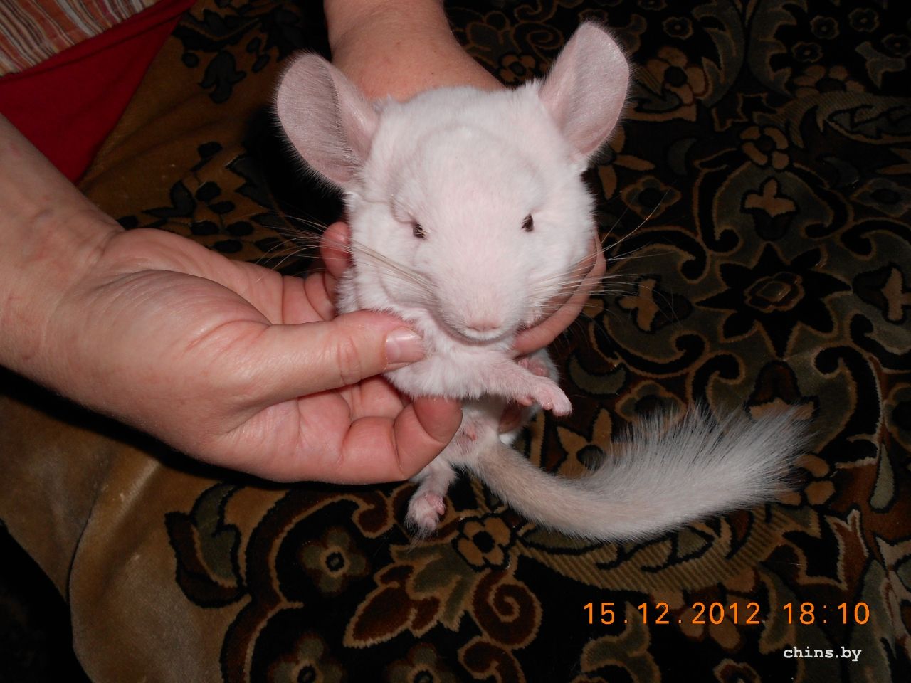 Изображение 002.jpg