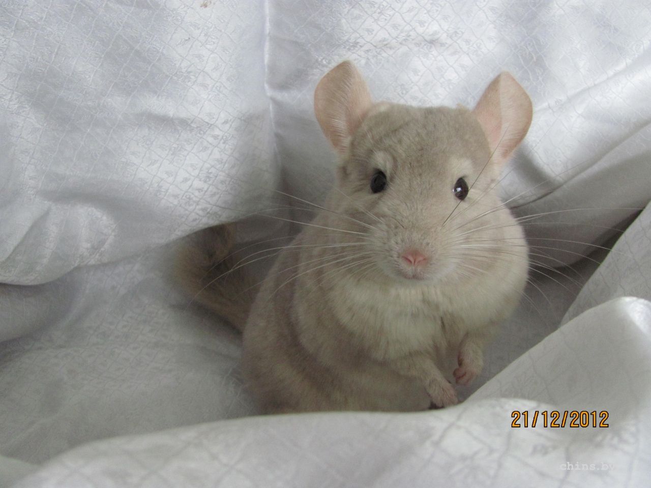 Изображение 023.jpg