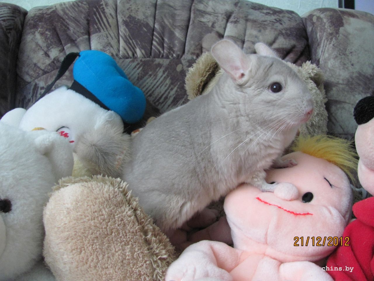 Изображение 032.jpg