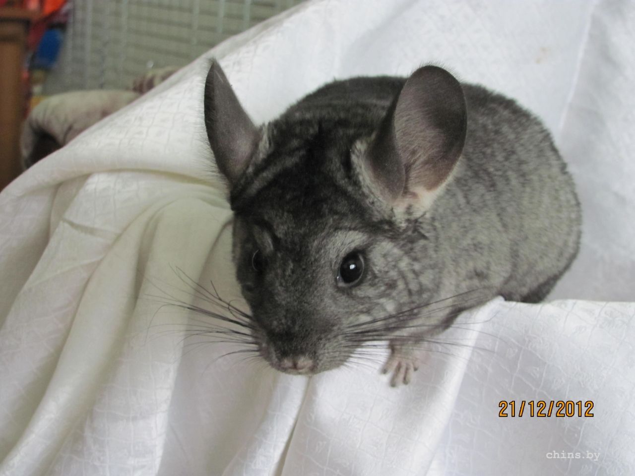 Изображение 075.jpg