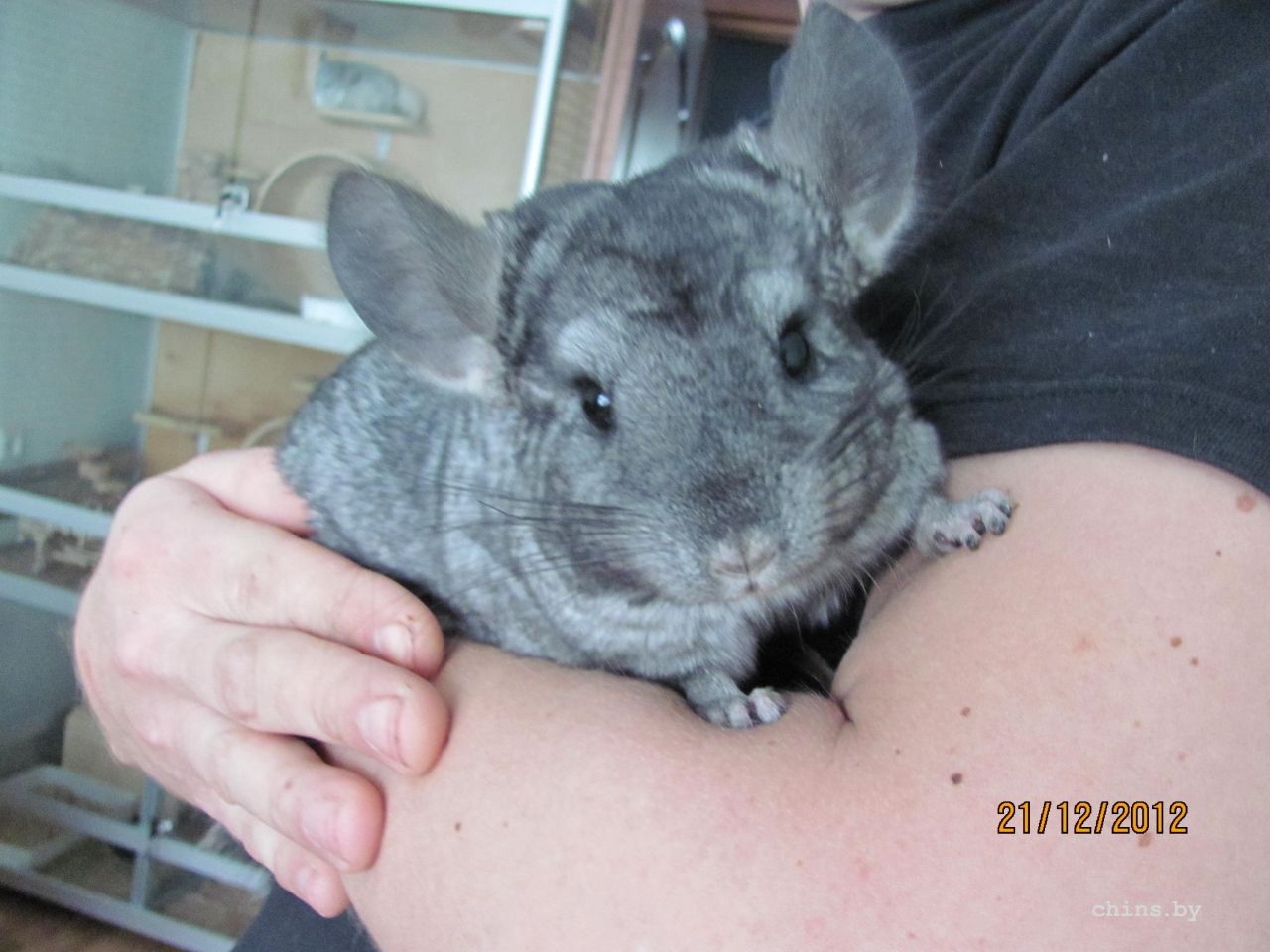 Изображение 088.jpg