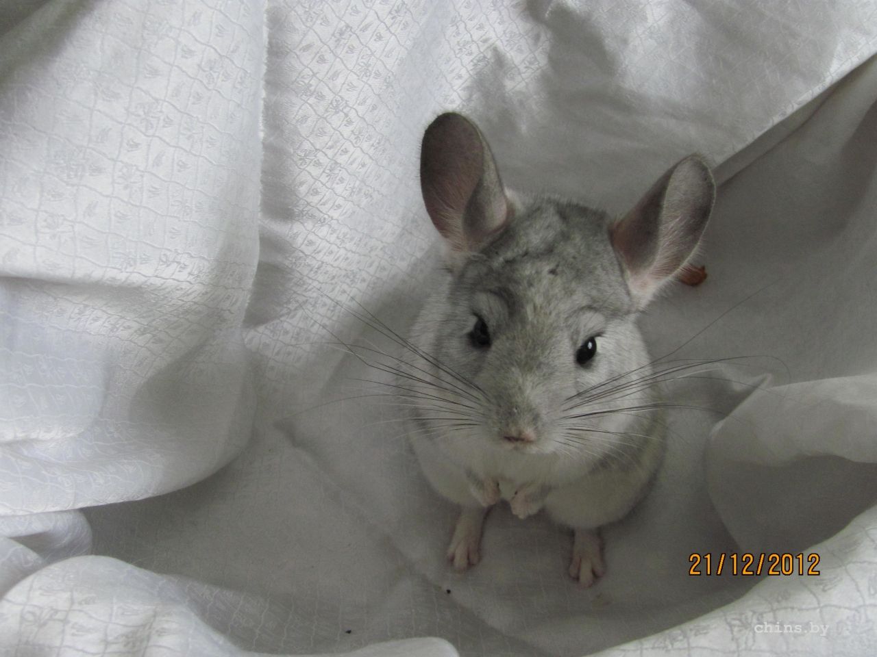 Изображение 123.jpg