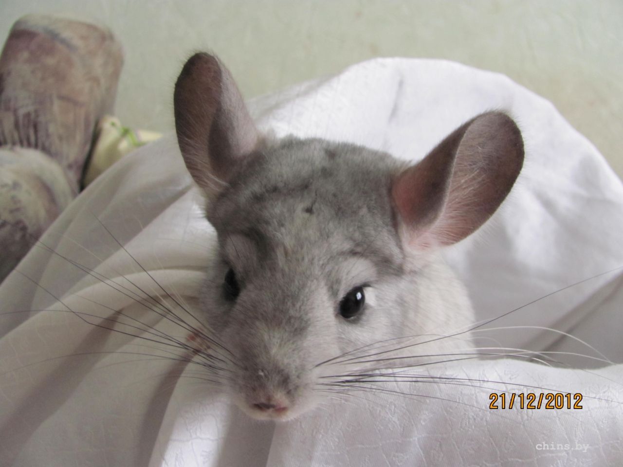 Изображение 128.jpg