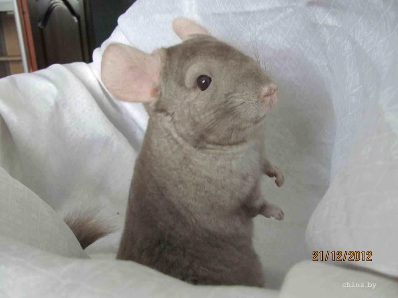 Изображение 113.jpg