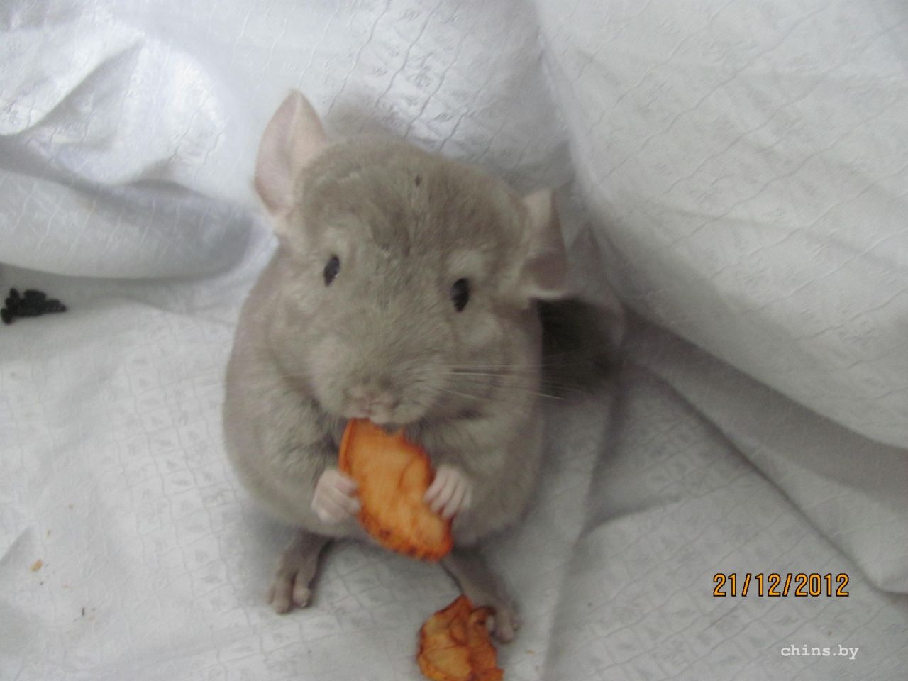 Изображение 035.jpg